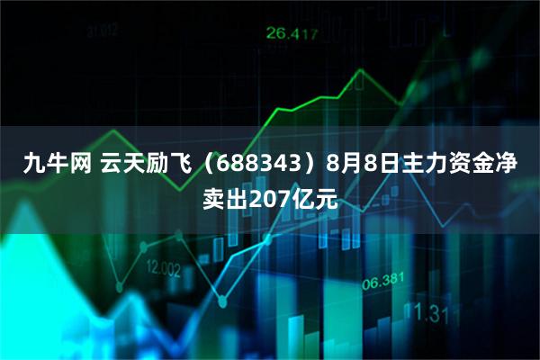 九牛网 云天励飞（688343）8月8日主力资金净卖出207亿元