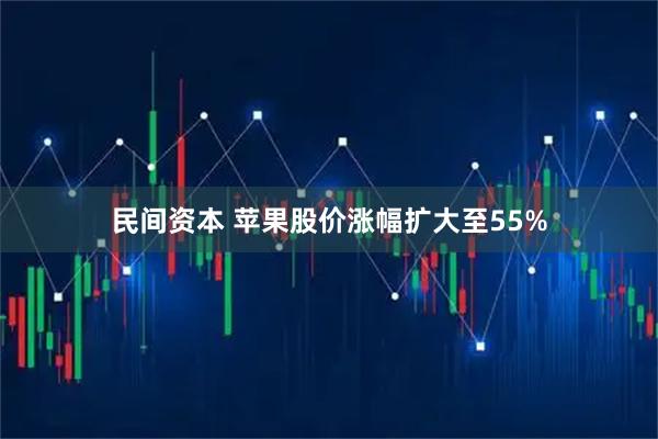 民间资本 苹果股价涨幅扩大至55%