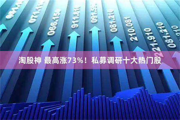 淘股神 最高涨73%！私募调研十大热门股