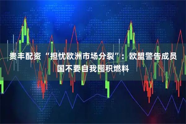 贵丰配资 “担忧欧洲市场分裂”：欧盟警告成员国不要自我囤积燃料