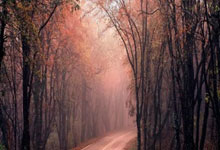 配资网之家:排名第一的配资公司-业绩大超预期！阿里云概念表现强劲